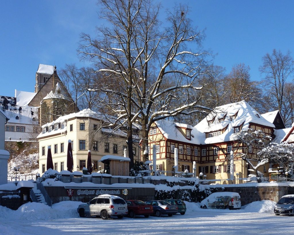 chemnitz, castle chemnitz, nature-3188364.jpg